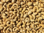 prev_1452853936_kesu_solene.jpg